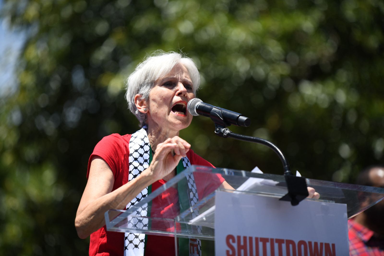 Green Party presidential candidate Jill Stein speaks at a Pro-Palestinian protest in front of the White House on June 8, 2024 in Washington, DC. (Photo by Mattie Neretin / GETTY IMAGES NORTH AMERICA / Getty Images via AFP)