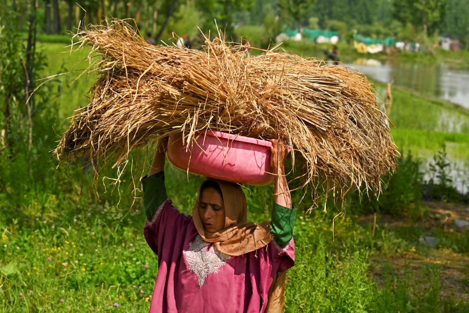 Cereal shortage in India threatens higher inflation