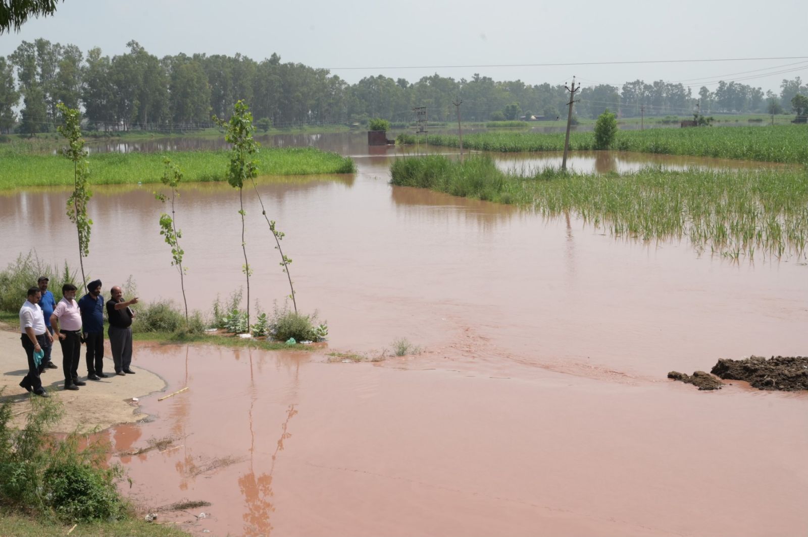 Cereal shortage in India threatens higher inflation