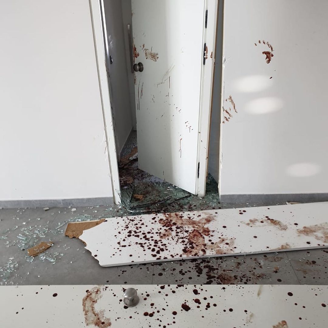 Nadine Njeim beirut blast destroyed home blood