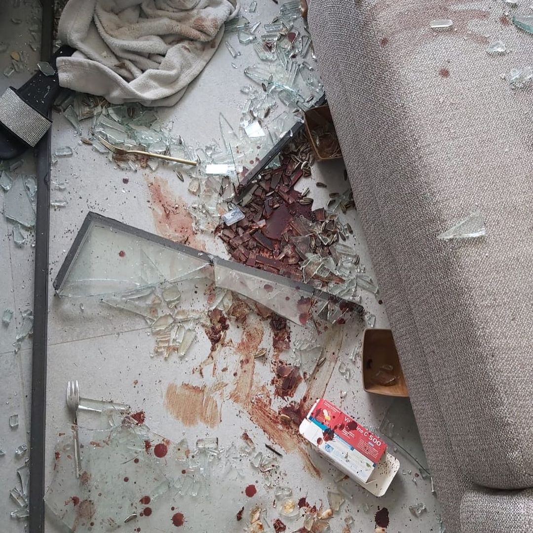 Nadine Njeim beirut blast destroyed home blood