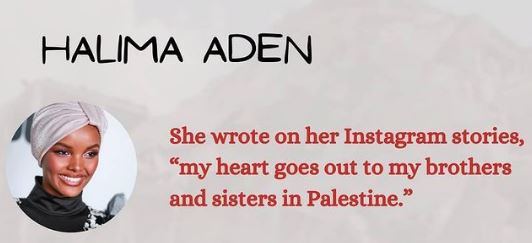palestine sheikh jarrah halima aden