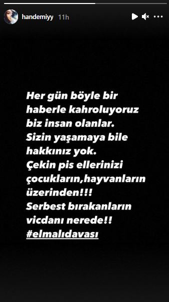 Hande Erçel Elmalı Davası 