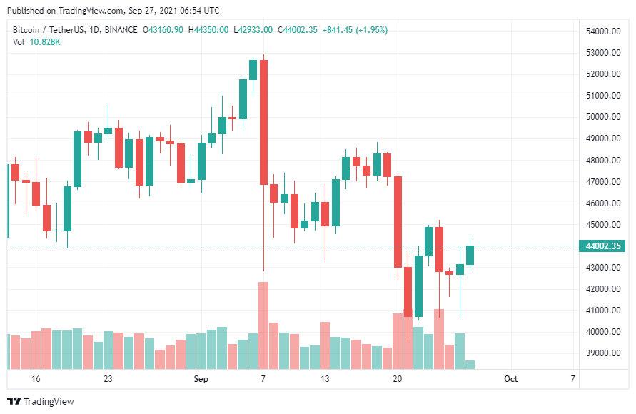 Twitter Bitcoin