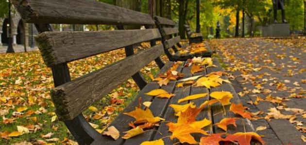 ""التوقيت الشتوي