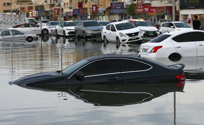 ""شارع في امارة الشارقة