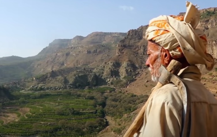 ""اصول القهوة تعود الى اليمن والحبشة