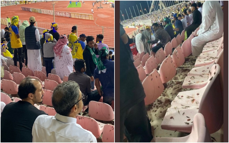 "الجراد يغزو ملعب الملك عبد العزيز"