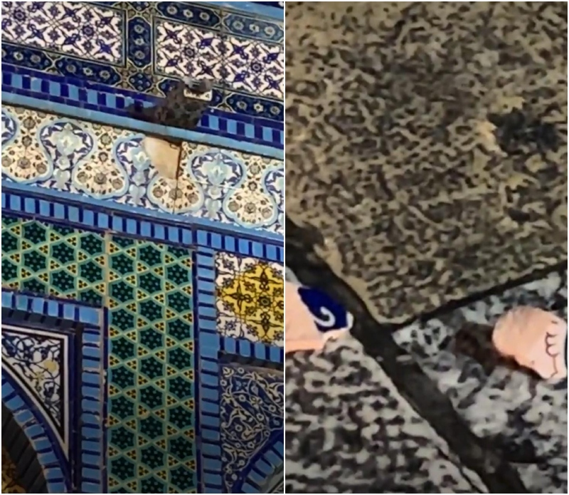 "تساقط حجارة قبة الصخرة بعد زلزال تركيا"