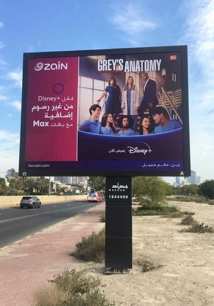 "زين تدعم الشذوذ"