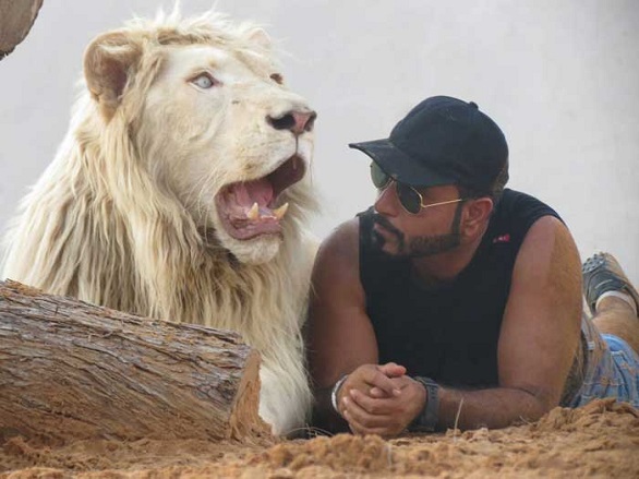 بو ذياب
