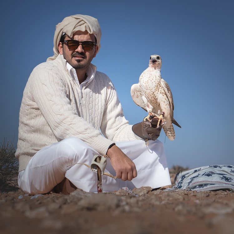 "صقر الشيخ جوعان"