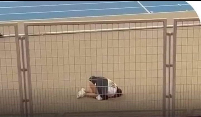 بسنت حميدة تؤدي سجدة شكر