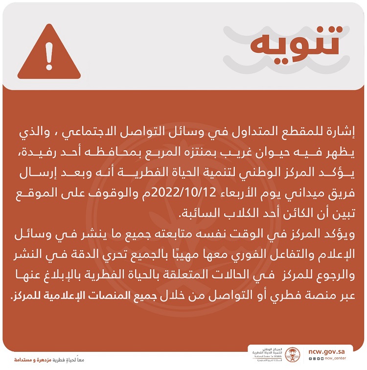 "حيوان غريب يظهر في السعودية"