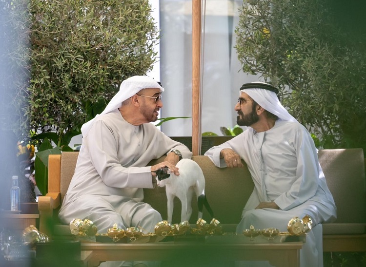 "قطة المرموم في لقاء محمد بن راشد ومحمد بن زايد"