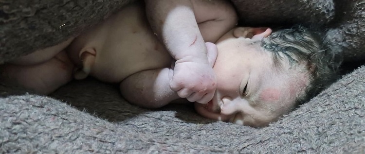 "ولادة طفل تحت أنقاض زلزال سوريا"