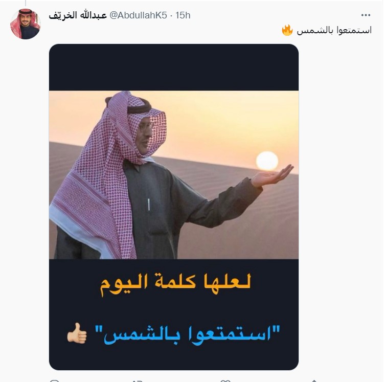 "الأمير عبد العزيز بن سلمان "