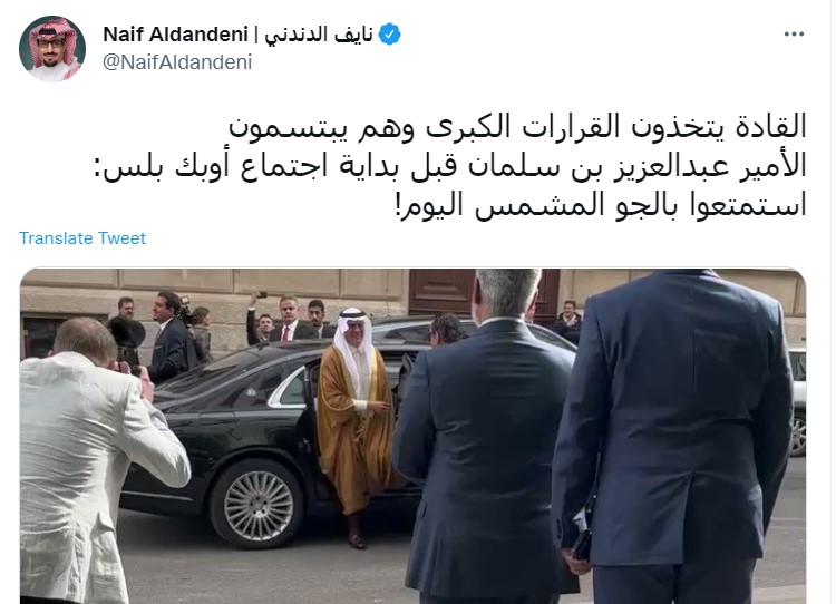 "الأمير عبد العزيز بن سلمان "