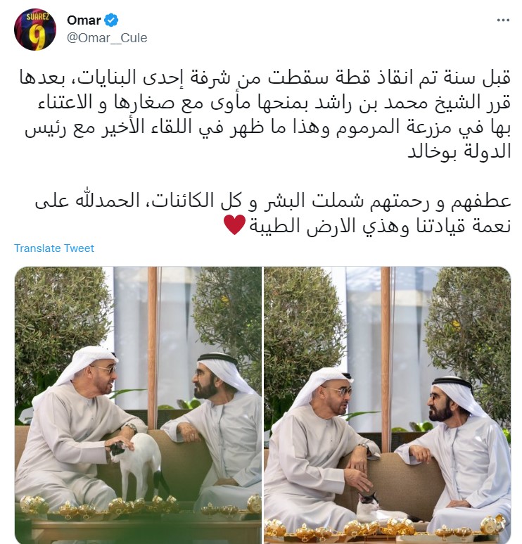 "قطة المرموم في لقاء محمد بن زايد ومحمد بن راشد"