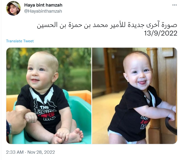 "الأمير محمد بن حمزة"