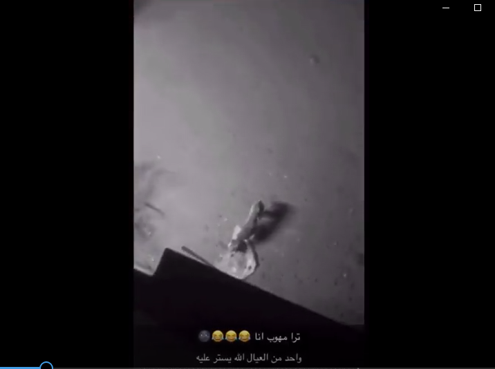 معذب الكلب بالطوب