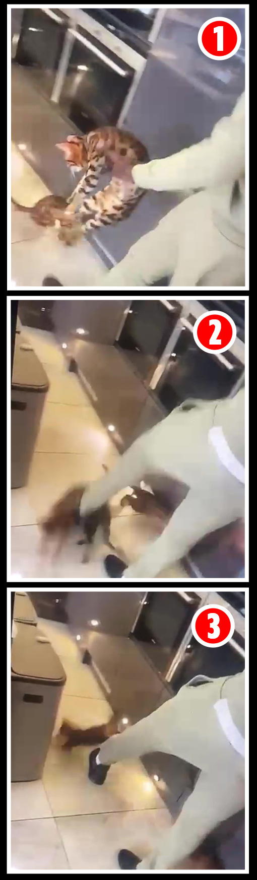 كورت زوما