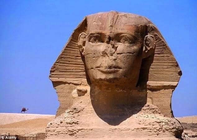 تمثال أبو الهول - صورة حقيقية