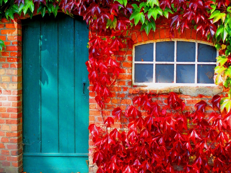 ماذا يقول لون باب مدخلك عن شخصيتك وفقاً لفنغ شوي 