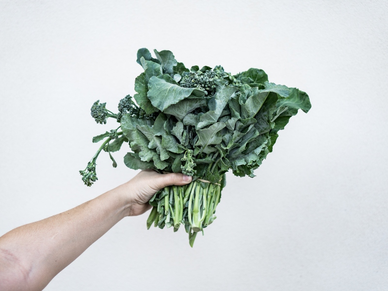 طبيب البوابة: 5 أطعمة تقلل من خطر الإصابة بالسرطان