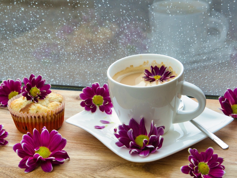 وصفات المايكروويف: كعكة القهوة الغنية