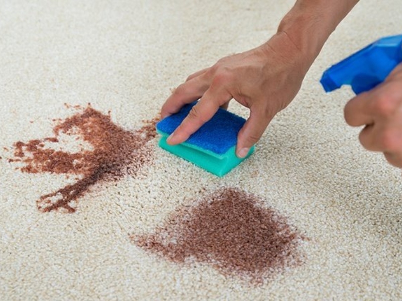 كيفية تنظيف بقع الشاي والقهوة من السجاد