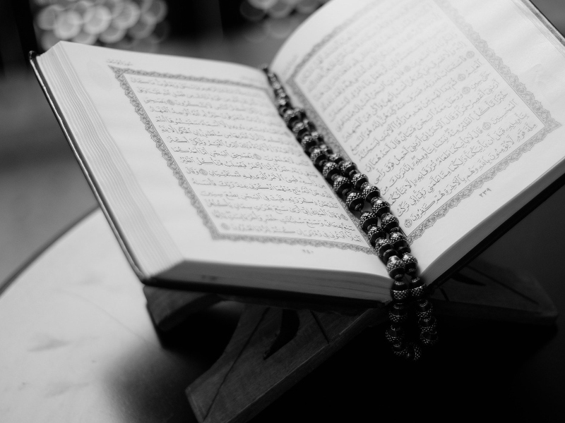 كيف يحتفل المسلمون بالمولد النبوي الشريف؟