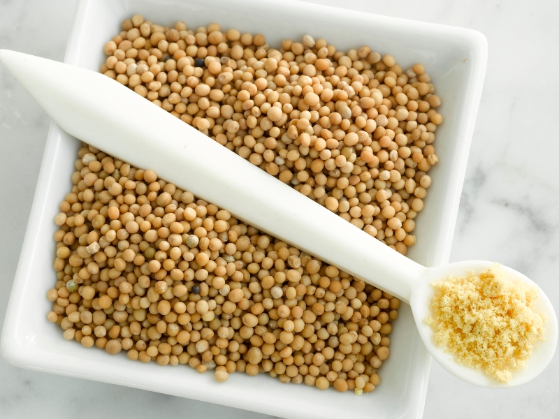 طبيب البوابة: أهمية بذور الخردل في فقدان الوزن