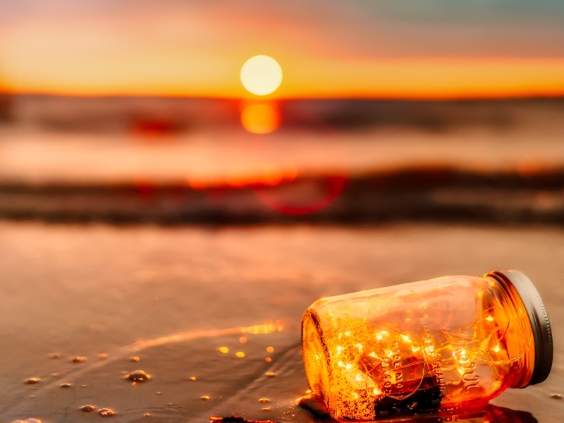 طبيب البوابة: احذر من نقص فيتامين د هذا الشتاء