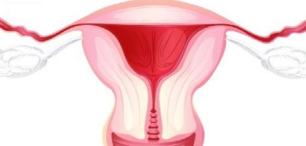 أسئلة شائعة عن رائحة السمك في المهبل