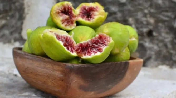 تفسير حلم أكل التين البرشومي