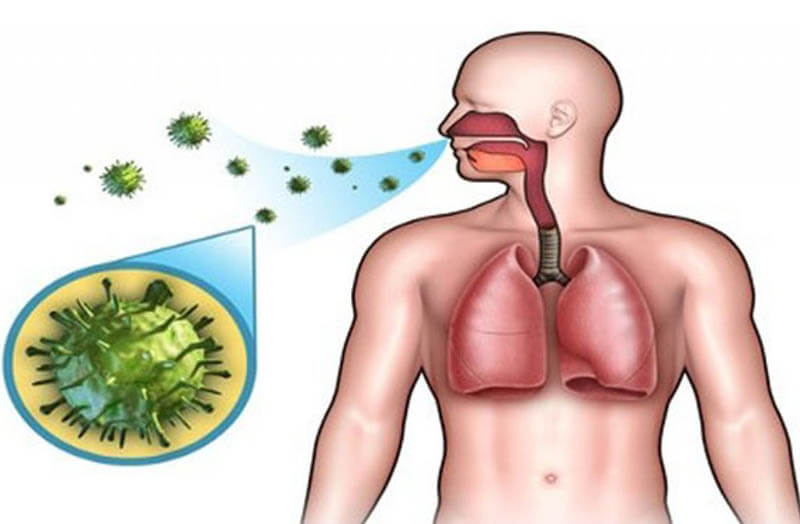 هل اليانسون يساعد على التخلص من البلغم؟