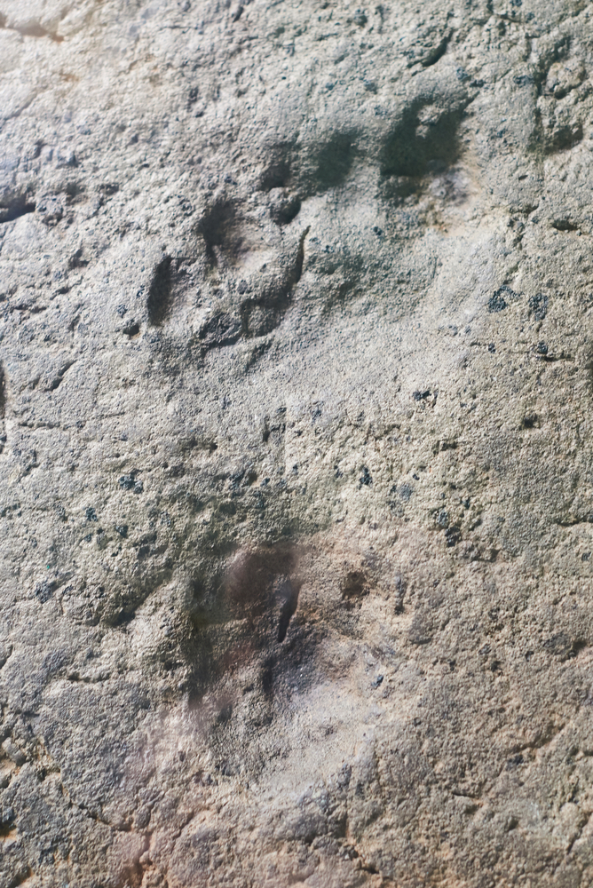 human footprints