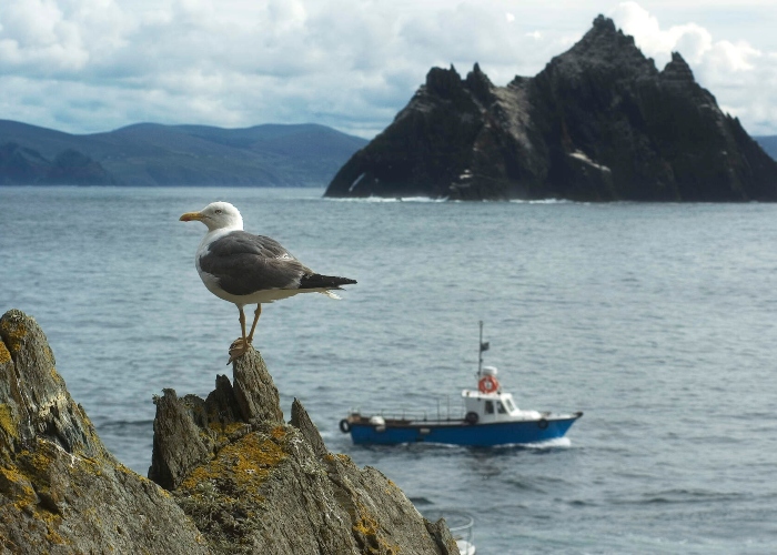 وجهات أيرلندا