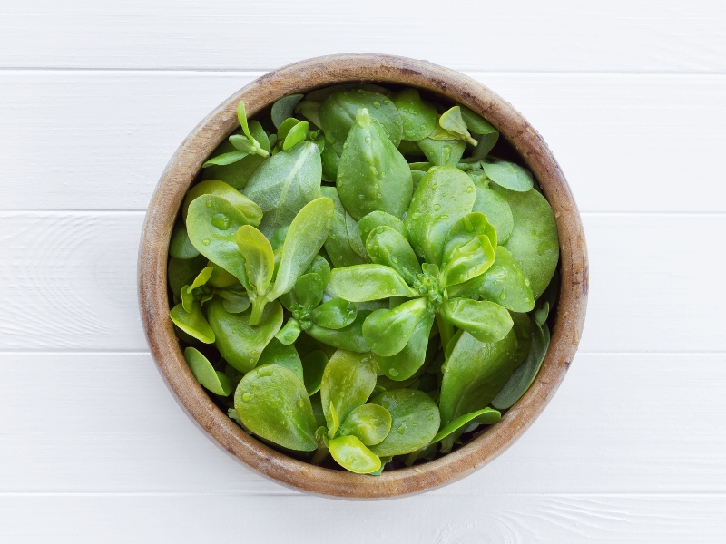 فوائد البقلة