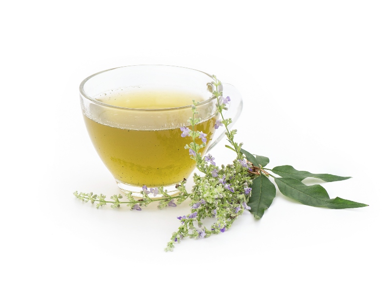 عشبة كف مريم