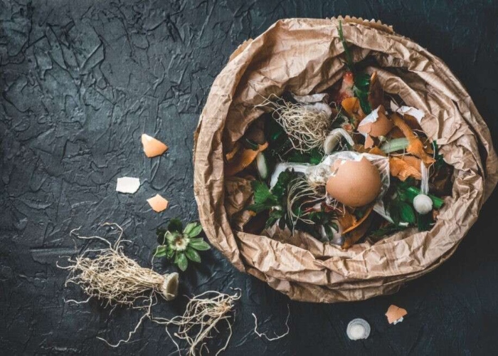 صديق للبيئة