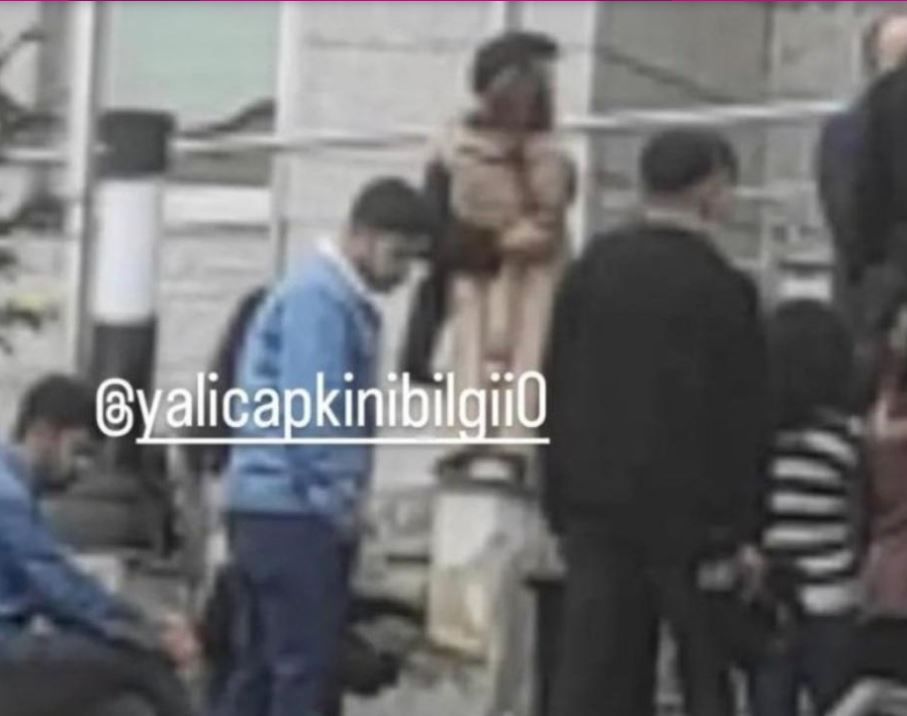 طائر الرفراف