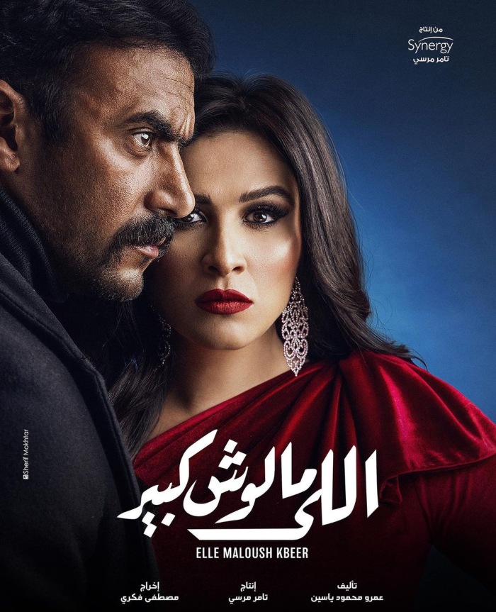 ياسمين عبد العزيز وأحمد العوضي في مسلسل "اللي مالوش كبير"