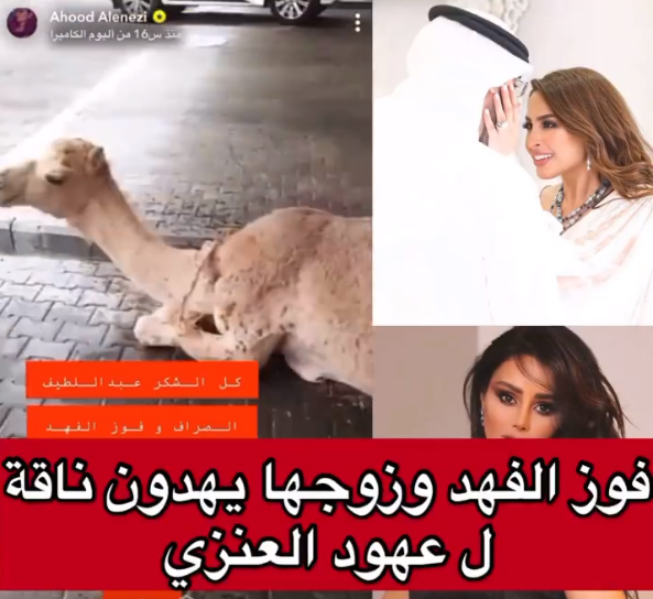 عهود العنزي