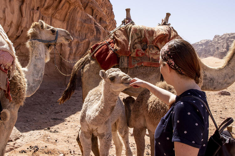 In Pictures: See Jordan's Top Tourist Destination Wadi Rum