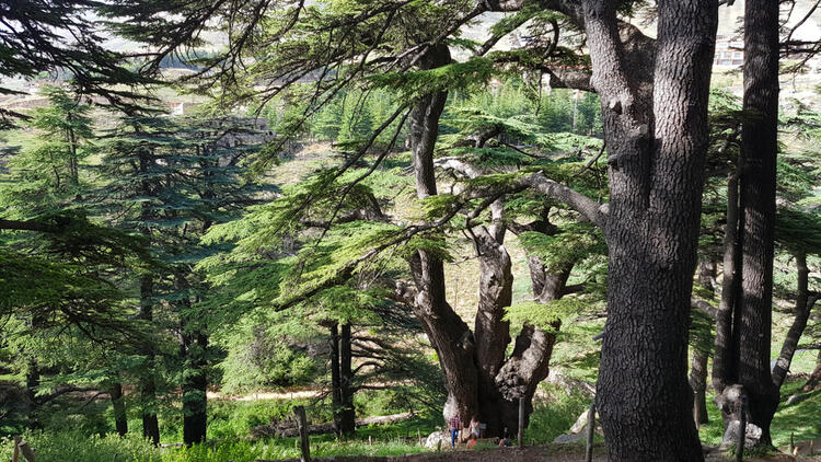 Must-See Middle East Nature Reserves