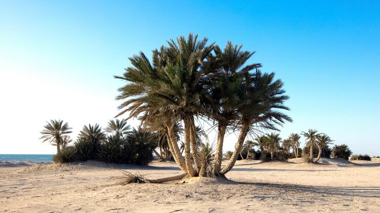 Fight Cabin Fever With These Middle East Hiking Trails