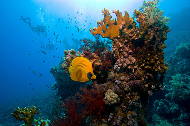 Must-See Middle East Nature Reserves