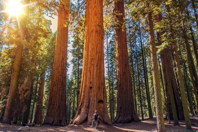 Where to Go for Beautiful Spring Scenery